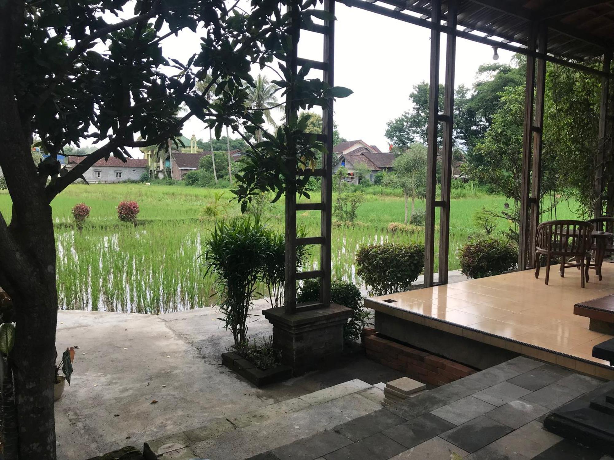 Lotus 2 Guest House Magelang Εξωτερικό φωτογραφία